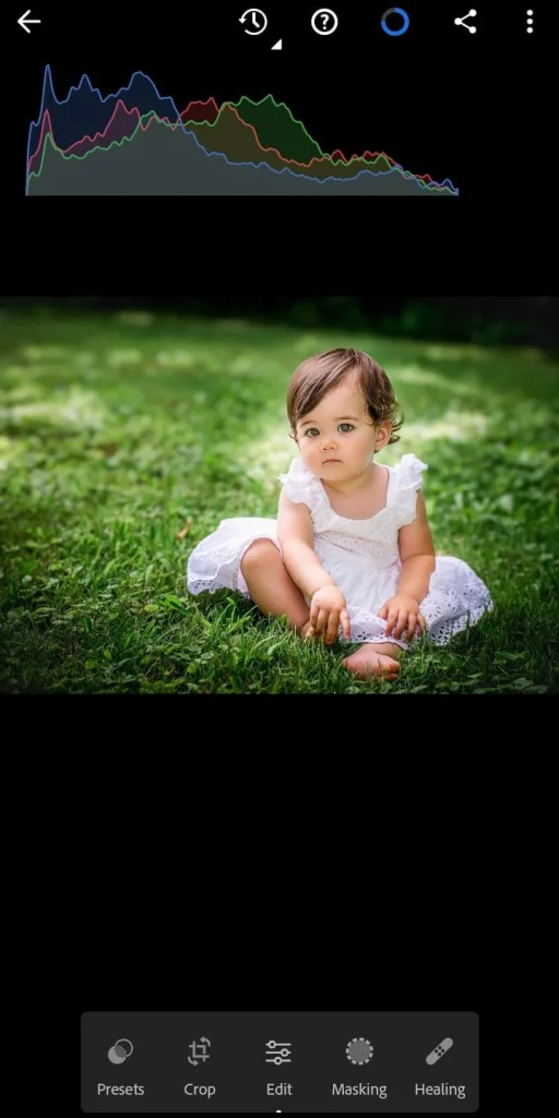 How To Blur the Background in Adobe Lightroom? 3 Effective Techniques 7 AI Masking