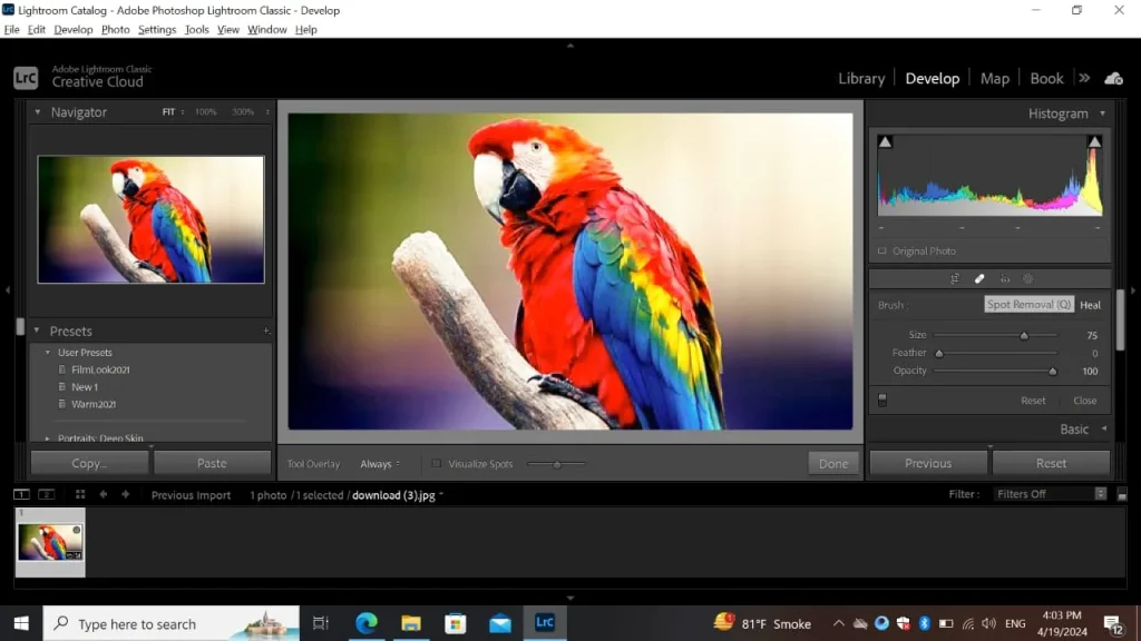 6 Lightroom Hidden Features of 2024 (You Need To Know) 5 Spot Removal